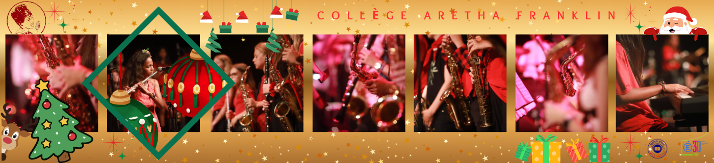 BANDEAU ENT NOEL.png